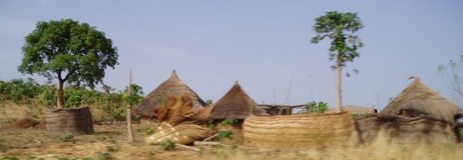 Serengeti Park Gutschein & Freikarte